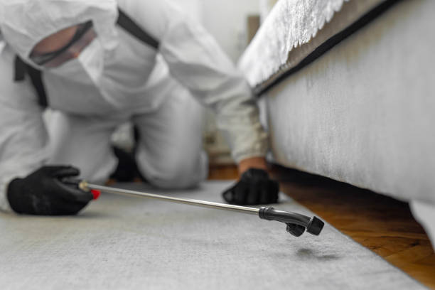 Professional Mosquito Control technician working in Patterson, CA