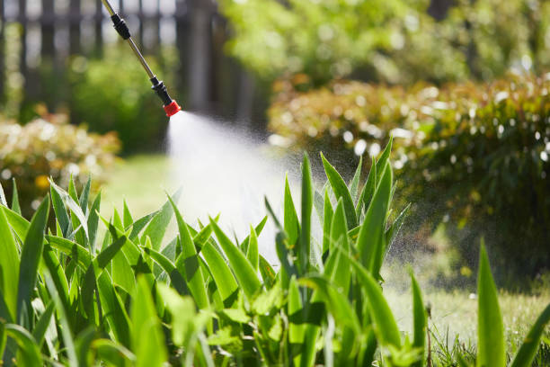 24/7 Emergency Mosquito Control experts in Patterson, CA